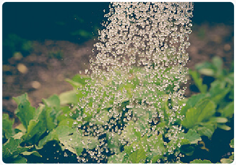 Blog 3 Image